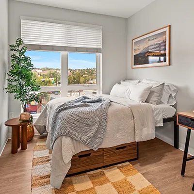 Student 3 Bedroom Apartments